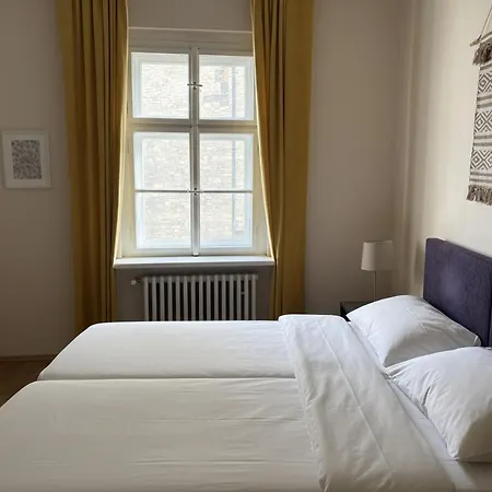 Petrska Cozy 2 Bedroom Near Old Town פראג